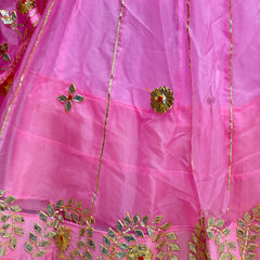 Pure Organza Lehenga Set