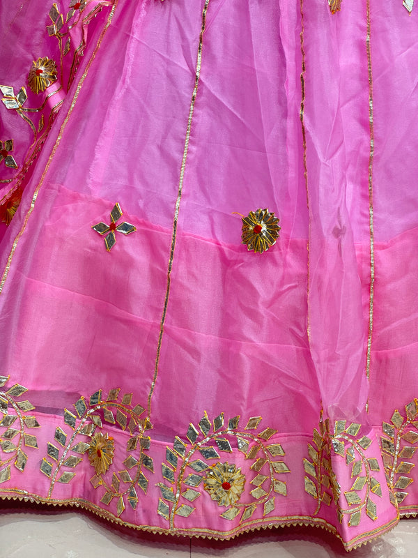 Pure Organza Lehenga Set