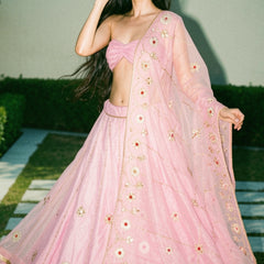 Pure Organza Lehenga Set