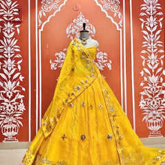 Pure Organza Lehenga Set