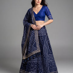 Kota Doriya Lehenga