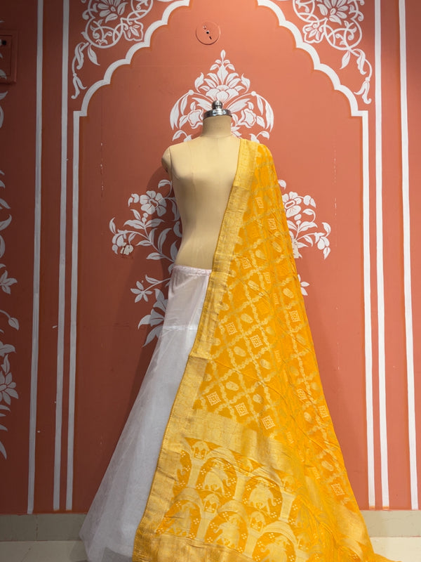 Pure Khaddi Georgette Dupatta