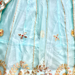 Pure Organza Lehenga Set