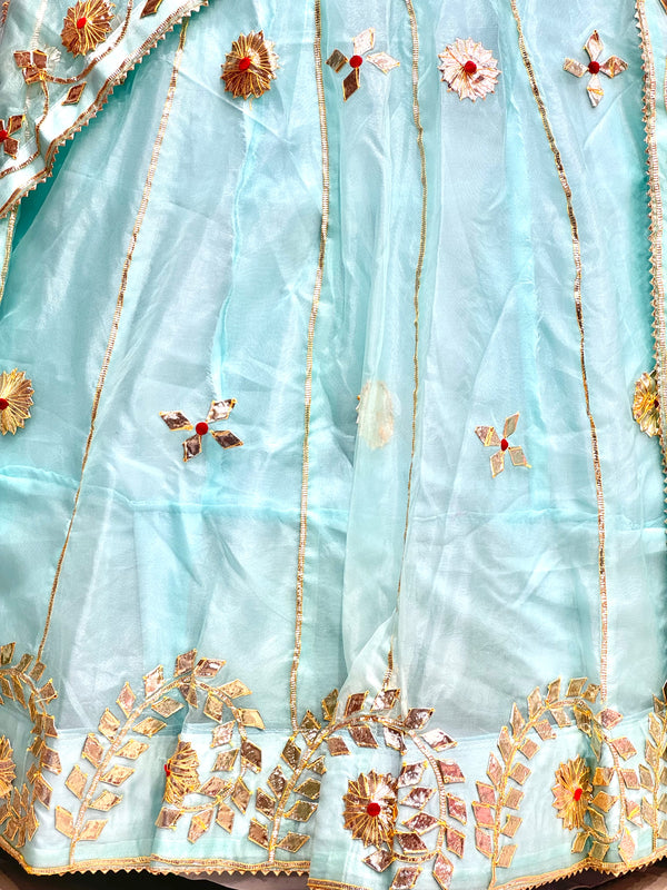 Pure Organza Lehenga Set