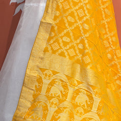 Pure Khaddi Georgette Dupatta