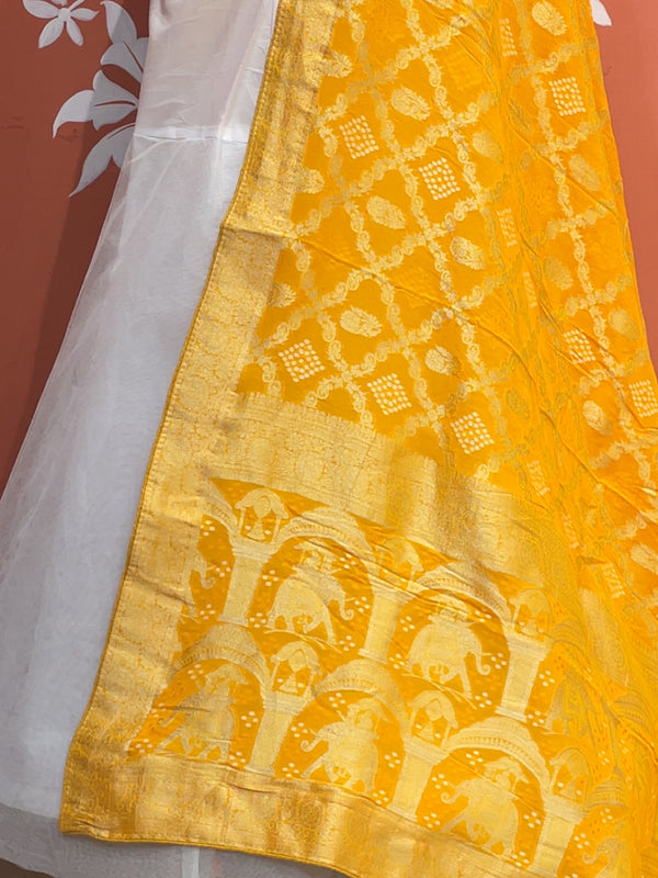 Pure Khaddi Georgette Dupatta