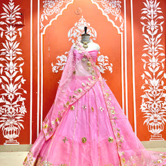 Pure Organza Lehenga Set