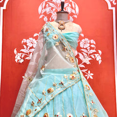 Pure Organza Lehenga Set