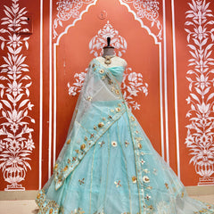 Pure Organza Lehenga Set