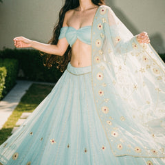 Pure Organza Lehenga Set