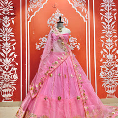 Pure Organza Lehenga Set