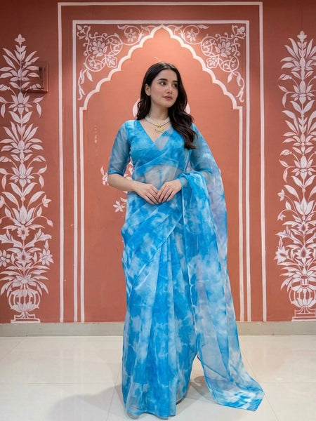 Pure Organza Saree