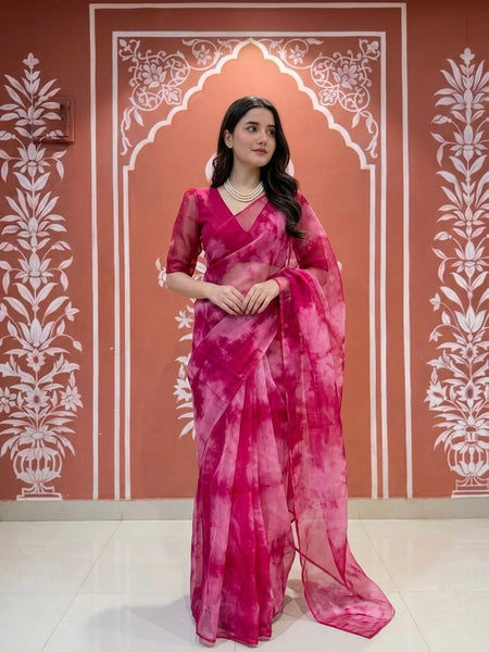 Pure Organza Saree