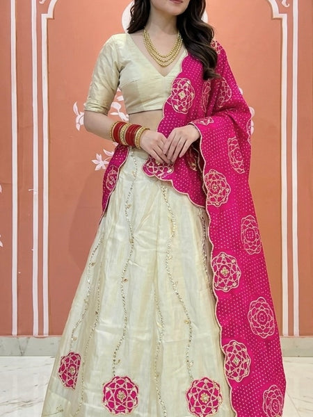 Cosmos Tissue Gota Patti Lehenga
