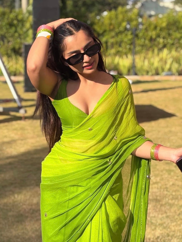 Pure Handwork Sequence Semi Chiffon saree