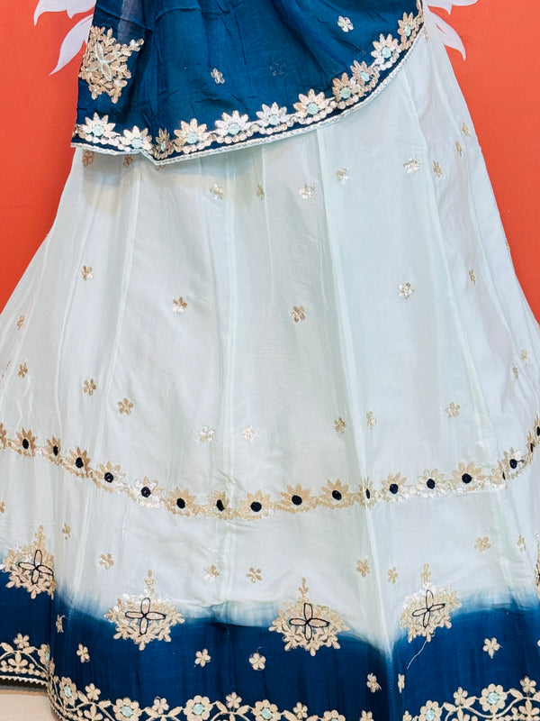 CHINON AARI GOTA PATTI WORK SHADED LEHENGA