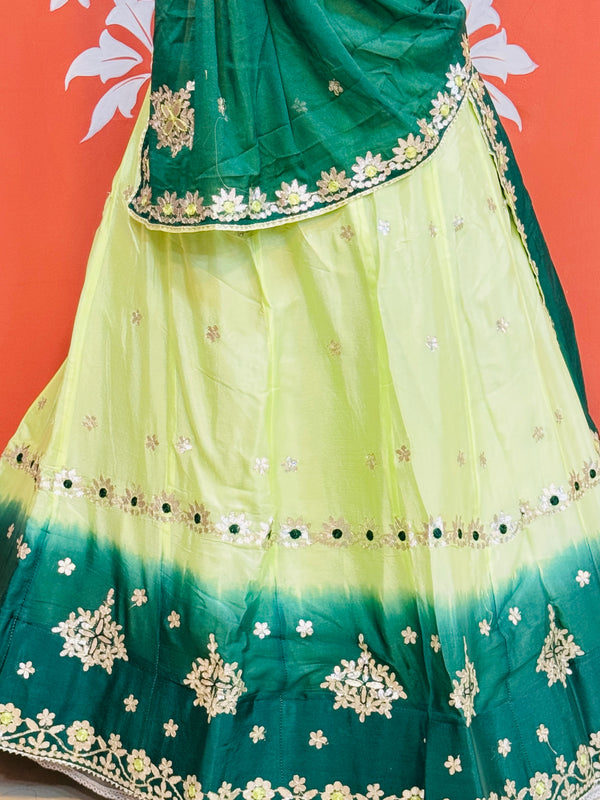 CHINON AARI GOTA PATTI WORK SHADED LEHENGA