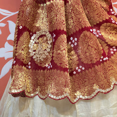 GOTA PATTI COSMOS TISSUE HANDWORK LEHENGA