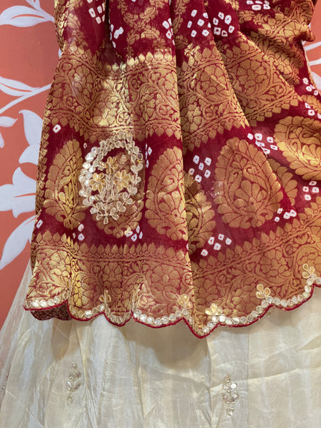 GOTA PATTI COSMOS TISSUE HANDWORK LEHENGA