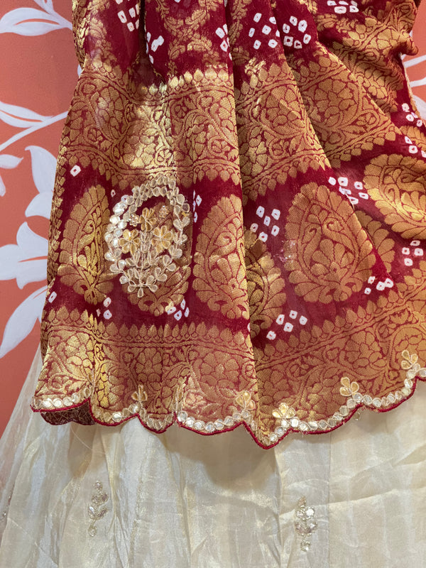 GOTA PATTI COSMOS TISSUE HANDWORK LEHENGA