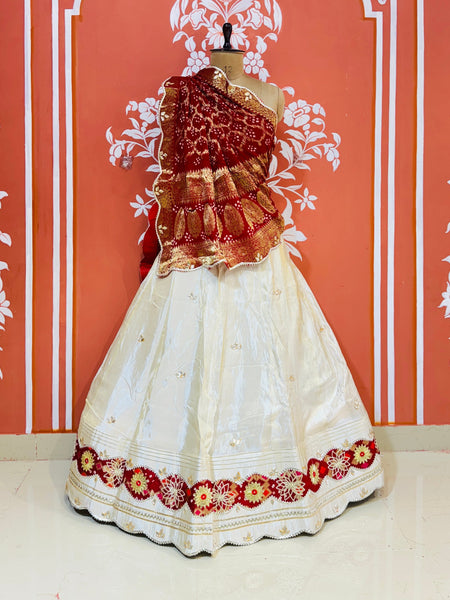 GOTA PATTI COSMOS TISSUE HANDWORK LEHENGA