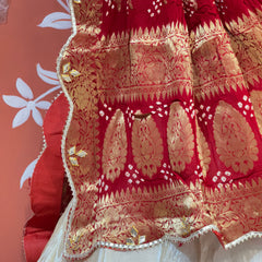GOTA PATTI COSMOS TISSUE HANDWORK LEHENGA