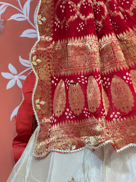 GOTA PATTI COSMOS TISSUE HANDWORK LEHENGA