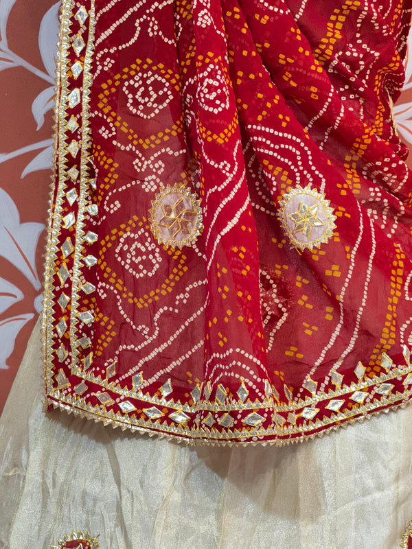GOTA PATTI COSMOS TISSUE KACHI PATTI LEHENGA