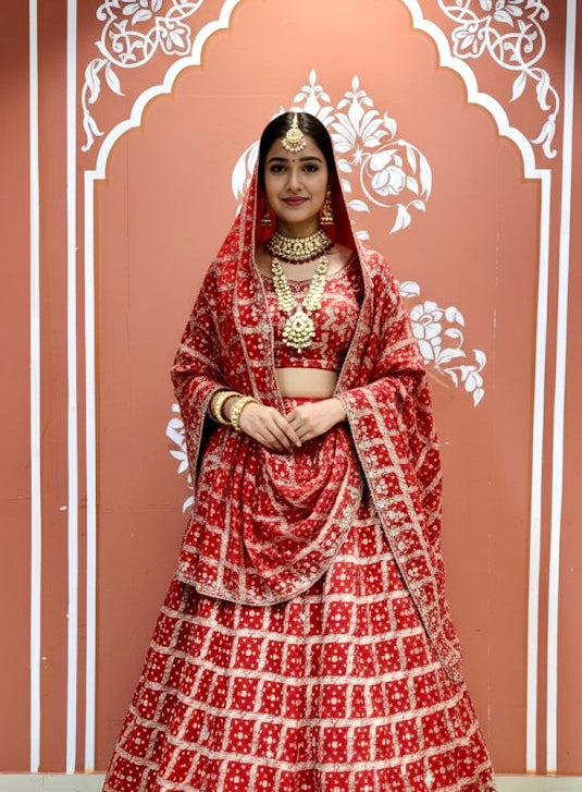 Zari Ghatchola Pure Georgette lehenga