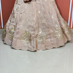 COSMOS TISSUE PURE GHATCHOLA GEORGETTE DUPATTA LEHENGA