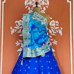 CHINON SHIBORI HANDWORK GOTA PATTI LEHENGA