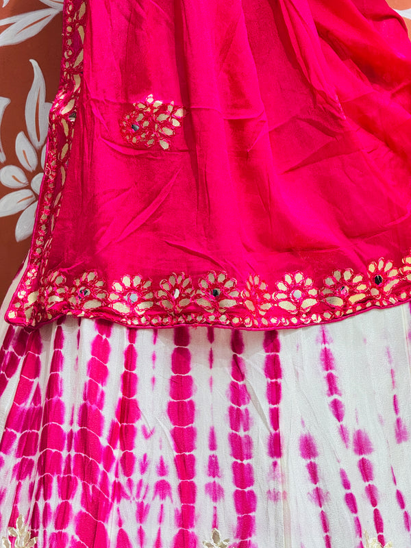 CHINON SHIBORI HANDWORK GOTA PATTI LEHENGA