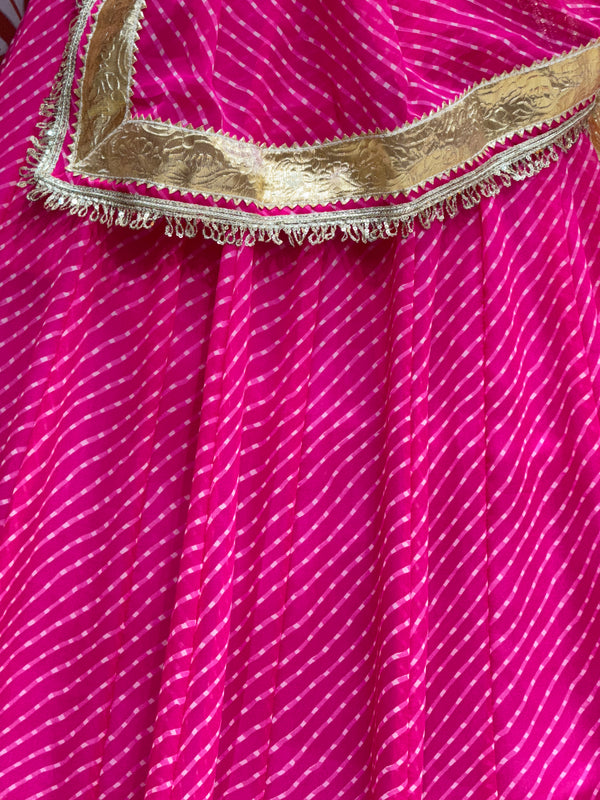 MOTHRA FULL FLARED LEHENGA