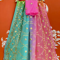 PURE CHIFFON KACHI PATTI SAREE