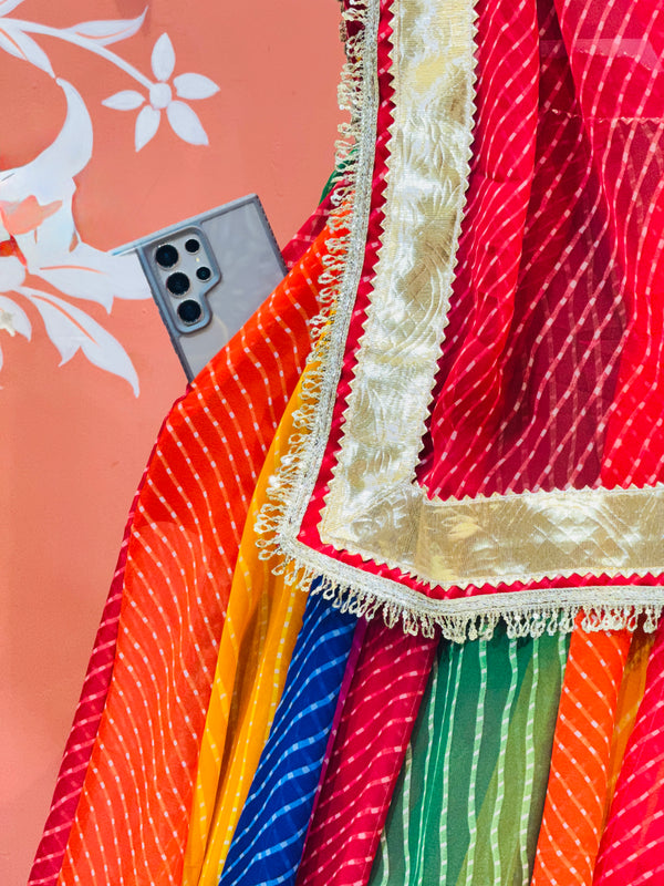 MOTHRA FULL FLARED LEHENGA