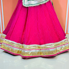 MOTHRA FULL FLARED LEHENGA