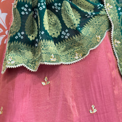 COSMOS TISSUE SILK LEHENGA WITH GHATCHOLA DUPATTA