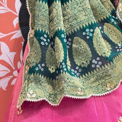COSMOS TISSUE SILK LEHENGA WITH GHATCHOLA DUPATTA