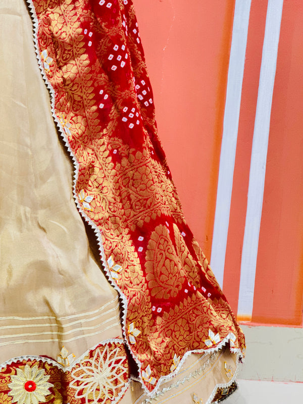 COSMOS TISSUE SILK LEHENGA WITH GHATCHOLA DUPATTA