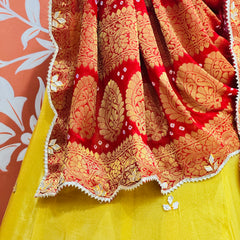 COSMOS TISSUE SILK LEHENGA WITH GHATCHOLA DUPATTA