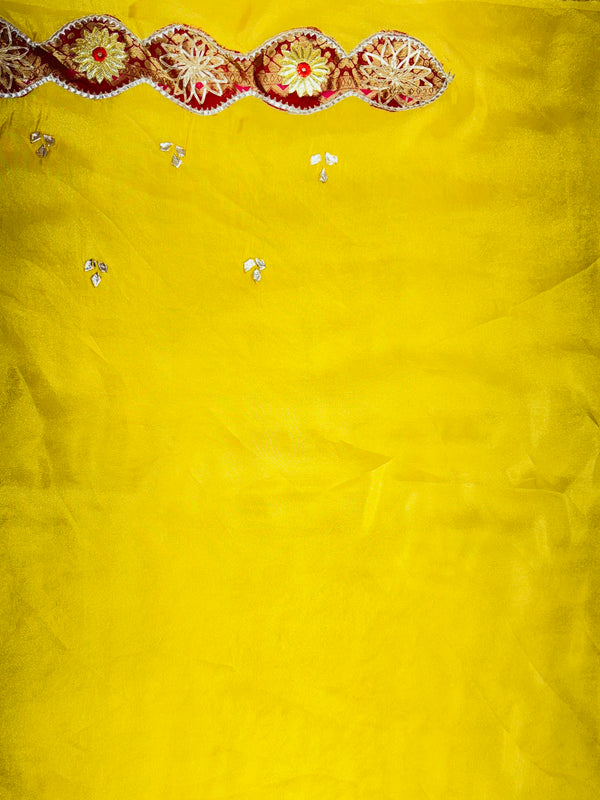 COSMOS TISSUE SILK LEHENGA WITH GHATCHOLA DUPATTA