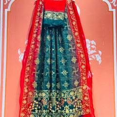 DARBARI GEORGETTE LEHERIYA SAREE
