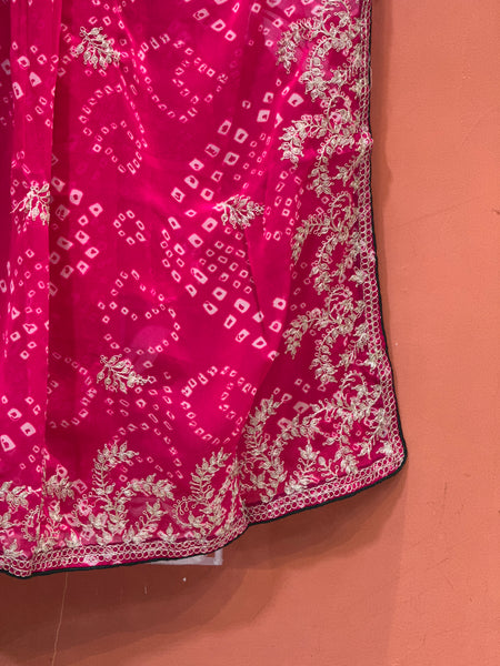 GEORGETTE PITTAN WORK SAREE