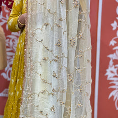 PURE DIAMOND CHIFFON SAREE WITH AANGI BLOUSE