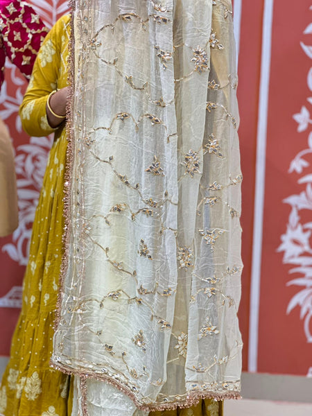 PURE DIAMOND CHIFFON SAREE WITH AANGI BLOUSE