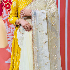 PURE DIAMOND CHIFFON SAREE WITH AANGI BLOUSE