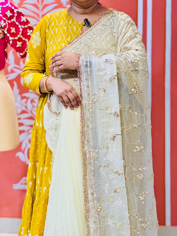 PURE DIAMOND CHIFFON SAREE WITH AANGI BLOUSE