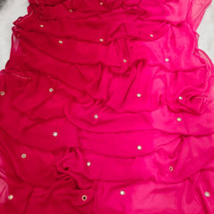 Pure Handwork Sequence Semi Chiffon saree