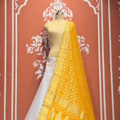 Pure Khaddi Georgette Dupatta