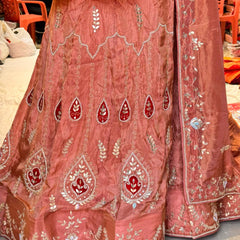 Cosmos Tissue Gota Patti Lehenga